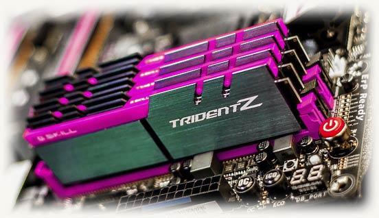 tridentz